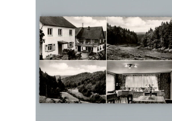 Nauroth Heidenrod Pension Mernberger