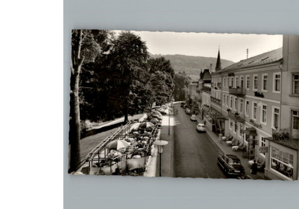 Schlangenbad Taunus Rheingauer Str. Hotel Viktoria