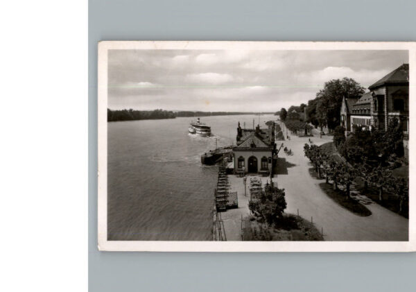 Eltville Rhein
