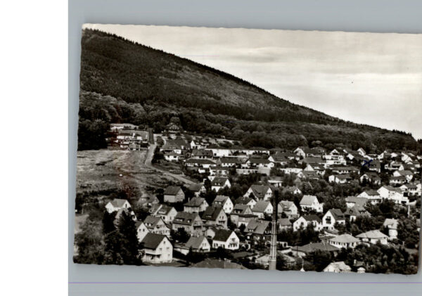 Falkenstein Taunus