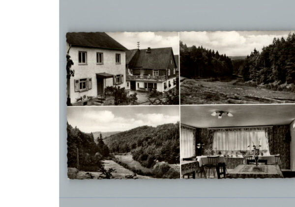 Nauroth Heidenrod Pension Mernberger
