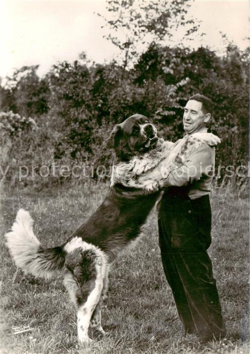 Hunde dogs chiens Harry Hund Mann