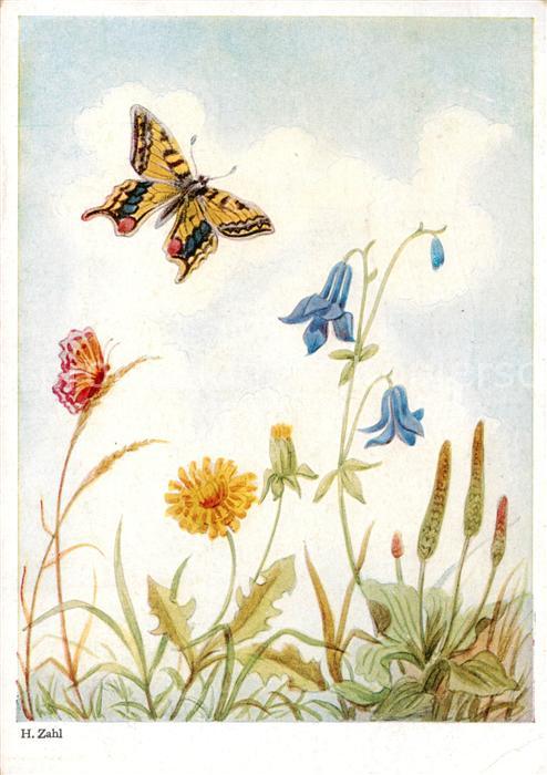 Verlag Primus Nr. Nr. 2619 H.Zahl Schmetterling Bluemen