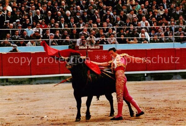Stierkampf Corrida de Toros Bullfight Bull Fight Feast Corrida de Toros