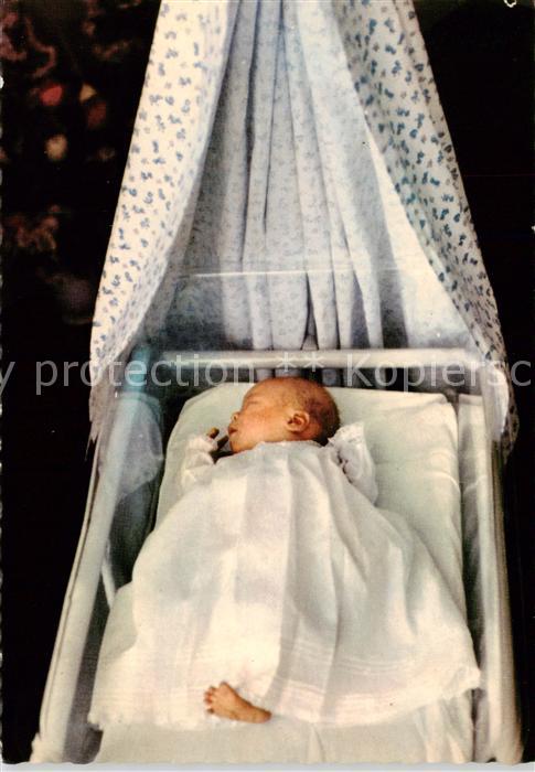 Adel Niederlande Z.K.H. Prins Willem-Alexander