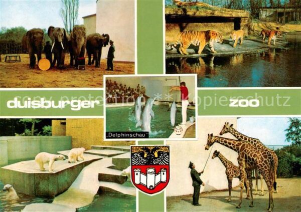 Zoo Gardin Zoologique-- Duisburger Zoo