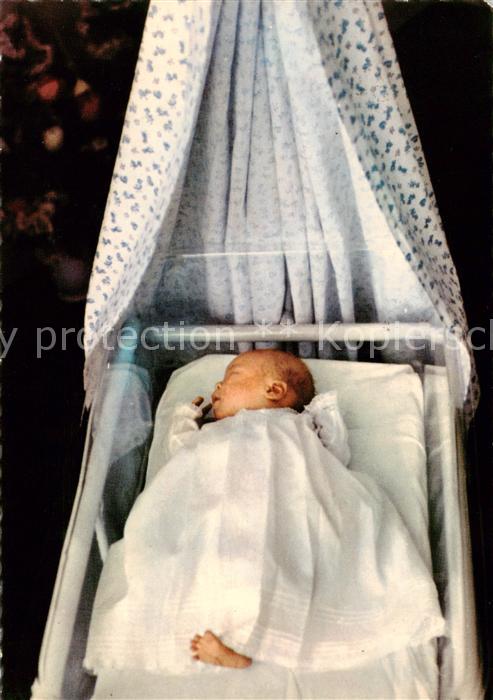 Adel Niederlande Z.K.H. Prins Willem Alexander