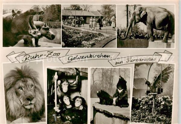 Zoo Gardin Zoologique-- Ruhr-Zoo Gelsenkirchen