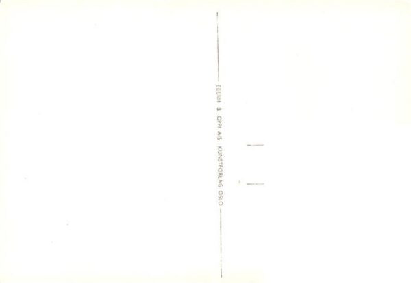 Bergsteigen Klettern CPP 9/54 Norge Skagastelstindene – Bild 2