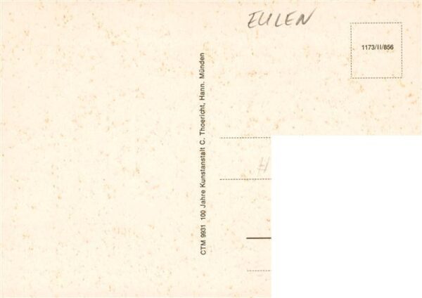 Eulen Owl Hibou Chouettes-- Dortor Eisenbart – Bild 2