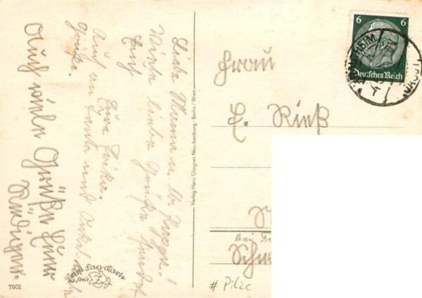 Pilze Hurra die Post ist da – Bild 2