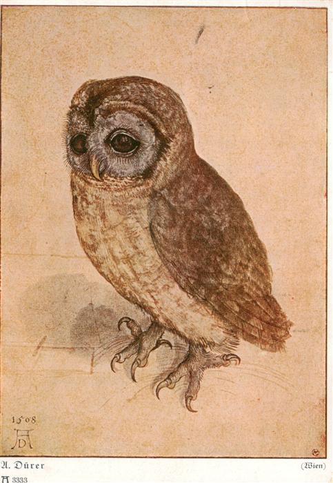 Eulen Owl Hibou Chouettes-- AD NR. 1508