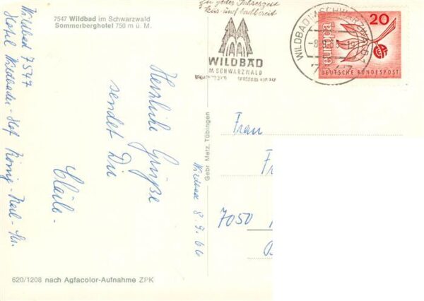 Bad Wildbad Sommerberghotel im Schwarzwald – Bild 2