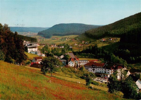 Tonbach Panorama Blick ins Tonbachtal Schwarzwald