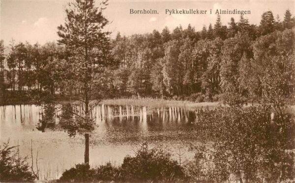 Bornholm Pykkekullekaer i Almindingen