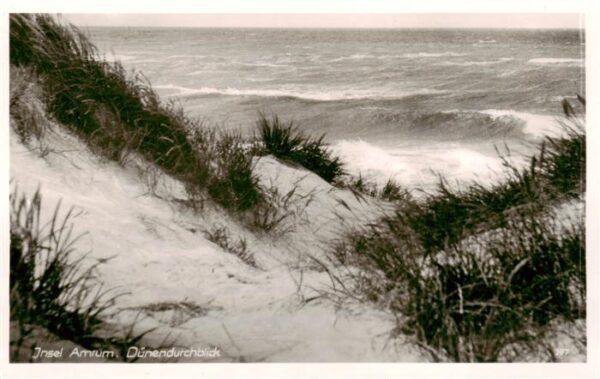 Insel Amrum Duenendurchblick