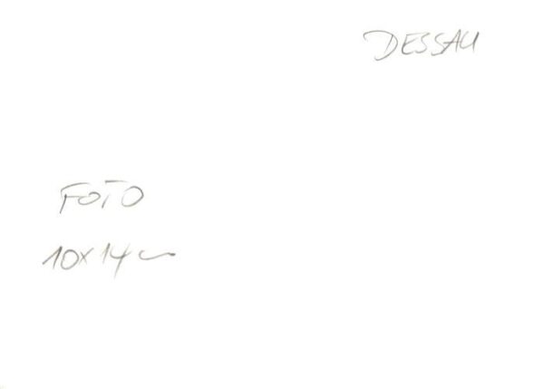 Dessau-Rosslau Ortsmotiv – Bild 2