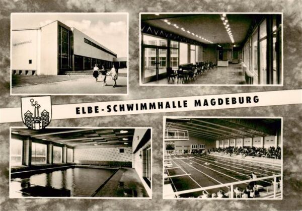 Magdeburg Elbe Schwimmhalle Details