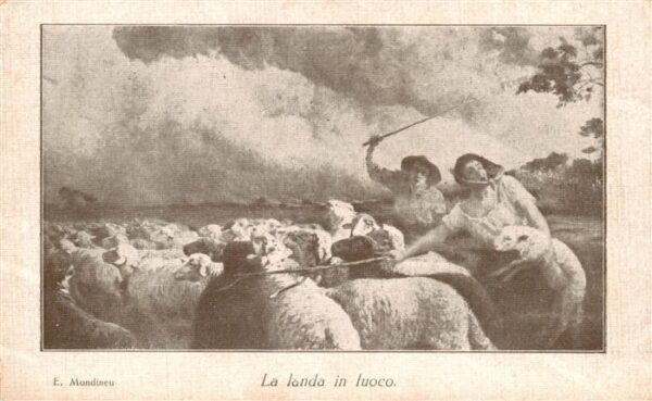 Schaeferei Sheperding Bergerie E.Mondieneu La landa in luoco