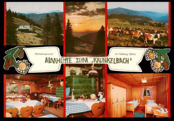 Feldberg 1450m Schwarzwald Almhuette zum Krunkelbach Gastraeume Zimmer Viehweide