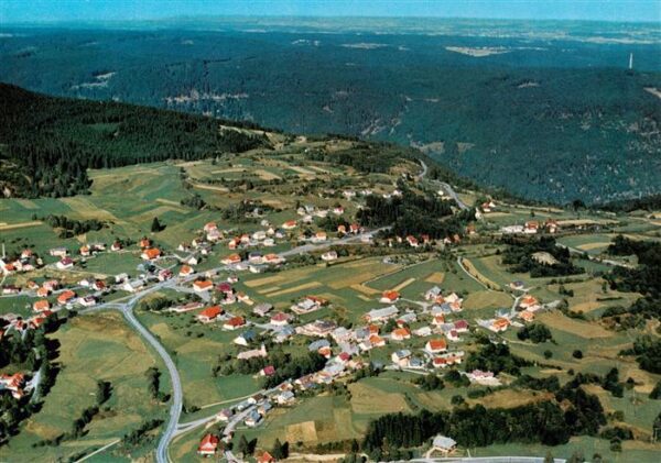 Haeusern Schwarzwald Fliegeraufnahme