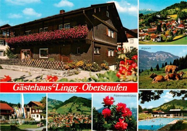 Oberstaufen Gaestehaus Lingg Panorama Alpenrosen Alpvieh Schwimmbad