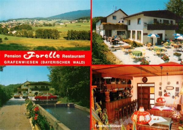 Grafenwiesen Panorama Pension Forelle Restaurant Forellen Stueberl Fischteich
