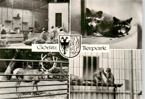 Goerlitz  Sachsen Tierpark Teilansichten