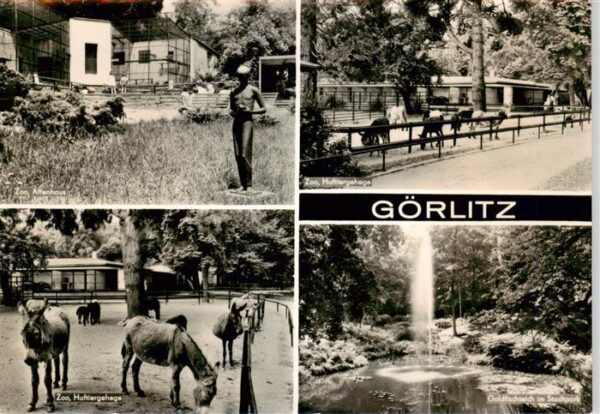 Goerlitz  Sachsen Zum Affenhaus Zoo Huftiergehege Goldfischteich im Stadtpark