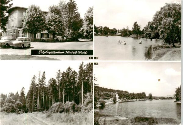 Neudorf Harz Harzgerode Erholungszentrum Gondelteich Waldpartie