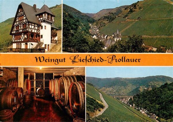 Bacharach Rhein Weingut Lieschied Prollauer Weinkeller Panorama Steeger Tal