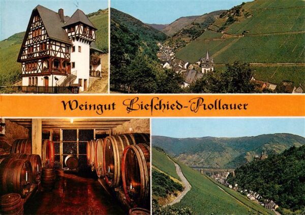 Bacharach Rhein Weingut Lieschied Prollauer Weinkeller Panorama Steeger Tal
