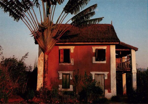 Antananarivo Tananarive Madagaskar Ravinala arbre du voyageur