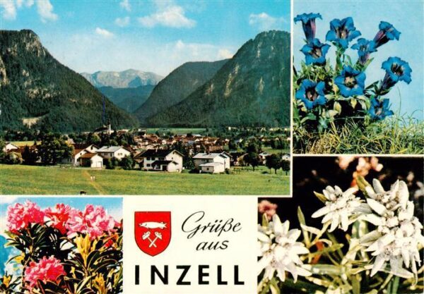 Inzell Panorama Alpenflora
