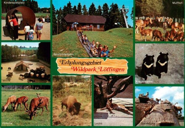 Loeffingen Wildpark Loeffingen Kinderspielplatz Woelfe Hirsche Mufflons Kragenba