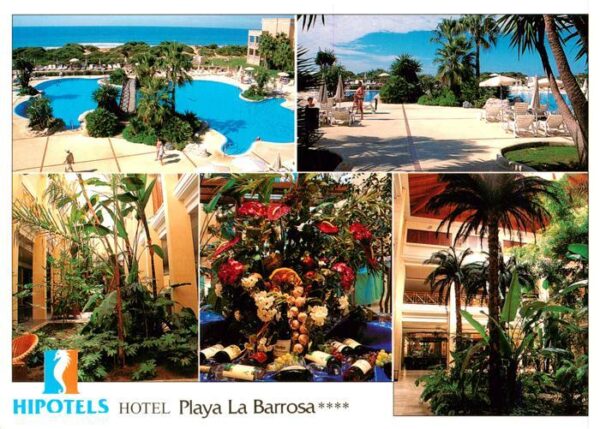Cadiz Andalucia ES Hotel Playa La Barrosa Details