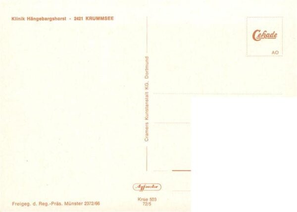 Krummsee Holstein Klinik Haengebargshorst Fliegeraufnahme – Bild 2