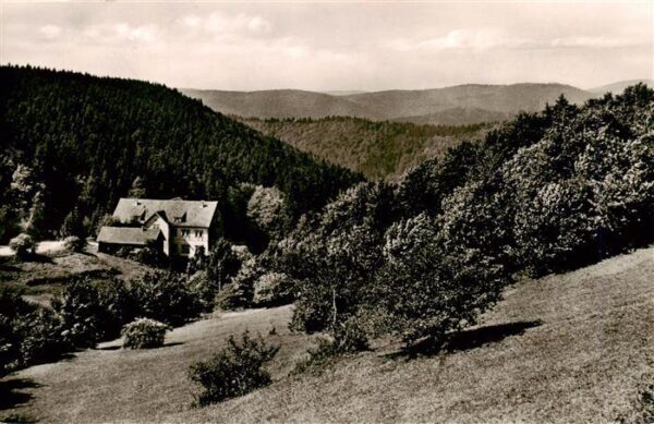 Hohegeiss Harz Waldhotel Dicke Tannen Landschaftspanorama Waelder
