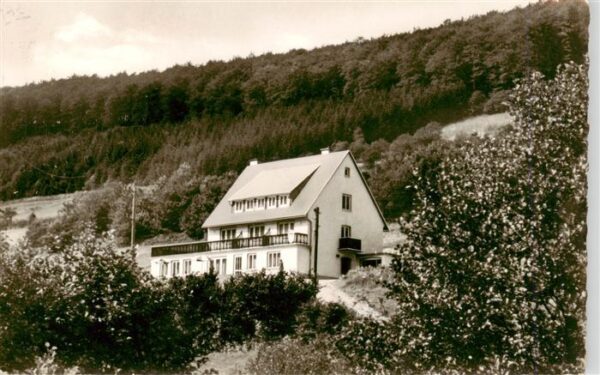 Willingen Sauerland Hotel Pension Laerchenhof
