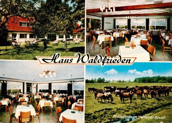 Duelmen Gasthaus Waldfrieden am Wildpark Gastraeume Wildpferde im Merfelder Bruc