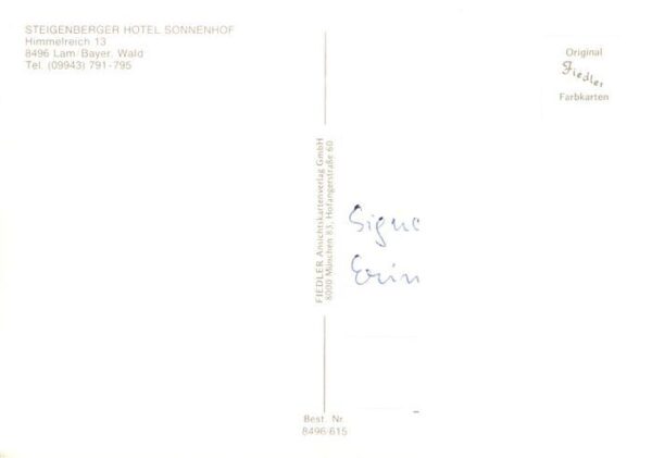 Lam Oberpfalz Steigenberger Hotel Sonnenhof Panorama – Bild 2