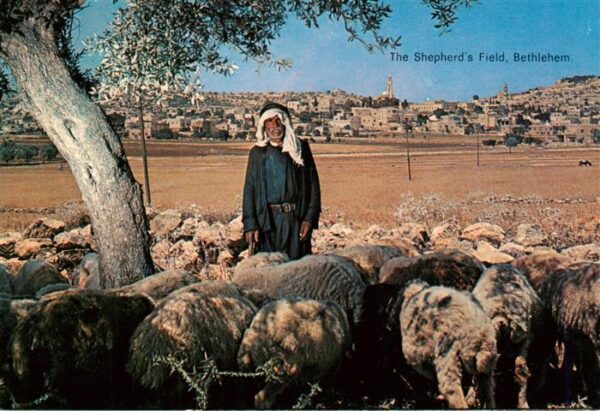 Bethlehem  Yerushalayim Israel The Shepherd’s Field