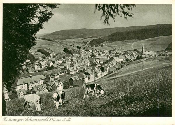 Furtwangen Panorama