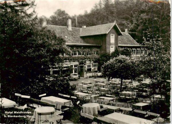 Blankenburg Harz Hotel Waldfrieden Gartenterrasse