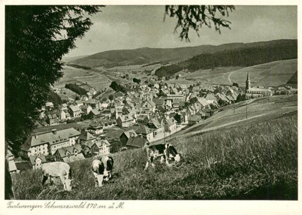 Furtwangen Panorama