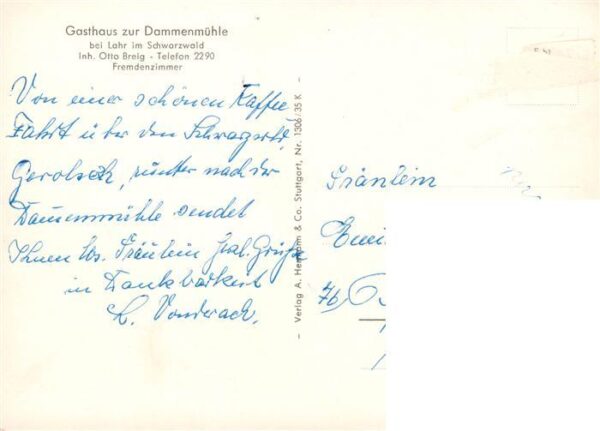 Lahr Baden Gasthaus Dammenmuehle Gondelteich – Bild 2