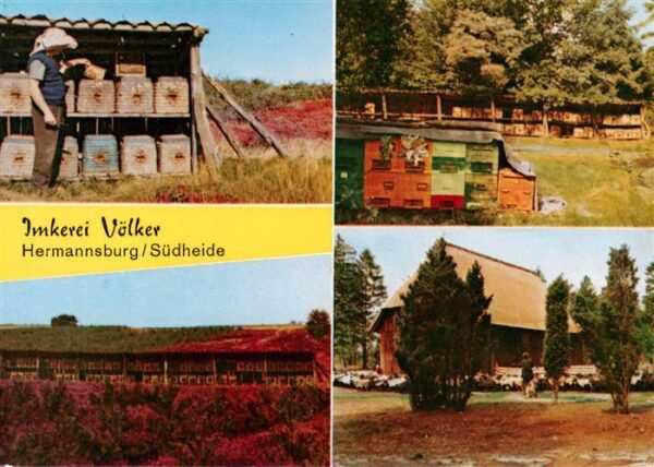 Hermannsburg Imkerei Voelker Teilansichten Naturpark Suedheide