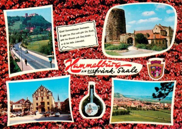 Hammelburg Strassenpartie Schloss Rathaus Panorama