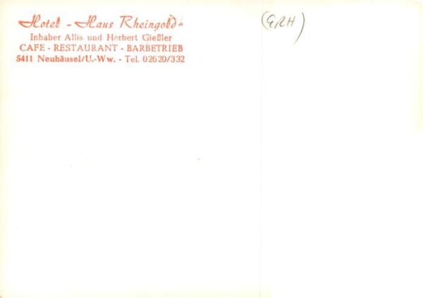 Neuhaeusel Westerwald Panorama Hotel Haus Rheingold – Bild 2