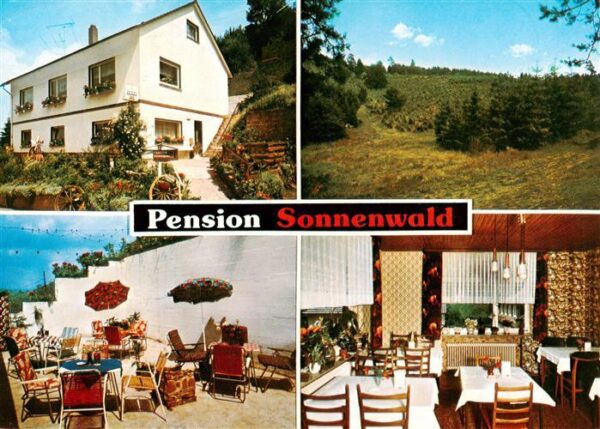 Bottendorf Frankenberg Eder Pension Sonnenwald Gaststube Terrasse Panorama